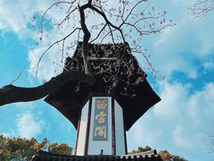 -上海佘山国家森林公园天马山园