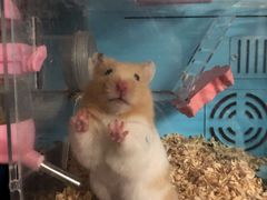 -钻石量贩KTV(花都广场店)