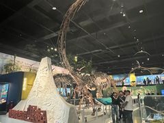 -国家自然博物馆