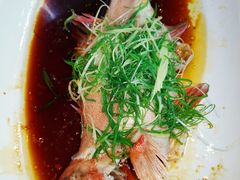 -顺德了能馆(虎门店)