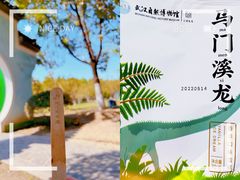 -武汉园博园(武汉自然博物馆)