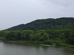 -长广溪湿地公园