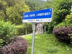 -十万大山布透温泉