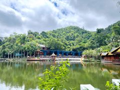 -西双版纳原始森林公园