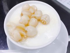 -义顺牛奶公司(新马路老店)
