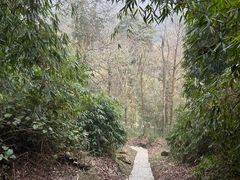 -云南屏边大围山国家公园