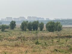 -永定河休闲森林公园