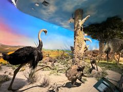 -国家自然博物馆