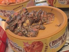 -龍歌自助小火锅(李沧丽达店)