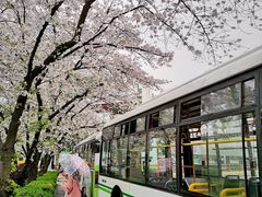 -上海南浦大桥长途旅游客运站