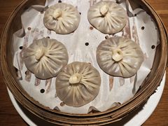 -庆春朴门
