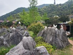 -千岛湖石林