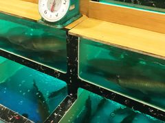 -草鱼先生潮州鱼生·虾生(新厦花园店)