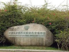 -西双版纳原始森林公园