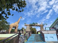 -西霞口神雕山野生动物世界