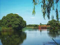 -梁鸿国家湿地公园