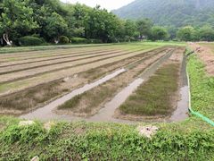-八卦田遗址公园