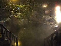 -宜春明月山维景国际温泉度假酒店