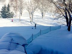 -二世古滑雪场