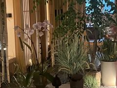 -梅间堂茶馆(绿地缤纷城店)