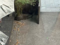 -青竺·青竹茶舍(断桥店)