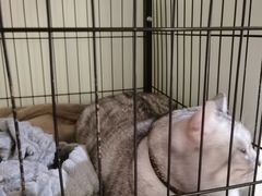 -H立方实景剧情密室(天河旗舰店)