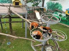 -西霞口神雕山野生动物世界