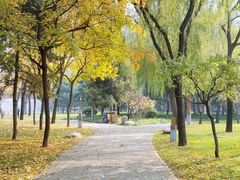 -唐城墙遗址公园