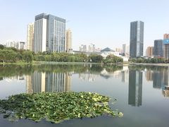 -后襄河公园