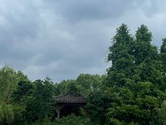 -武汉园博园(武汉自然博物馆)