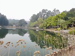 -三水森林公园