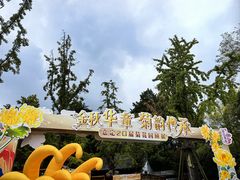 -汇龙潭