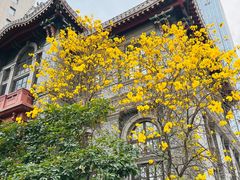 -四川大学华西口腔医院(华西院区)