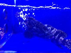 -港迹·鲜围煮海鲜火锅(湖州时代广场店)
