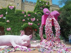 -青岛方特梦幻王国