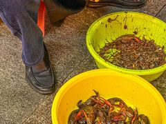 -吉利龙虾·新派海鲜烧烤