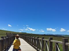 -黄河九曲第一湾