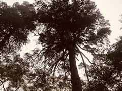 -北京上方山国家森林公园