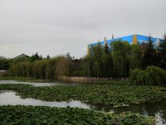 -青岛方特梦幻王国