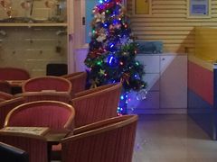 -道顺射箭·团建·骑射(张杨路店)