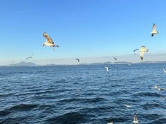 -大连海昌东方水城