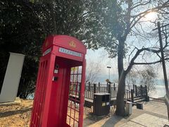 -酒仙湖景区