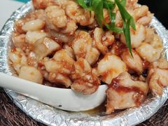 -丁老爷子苏香圆