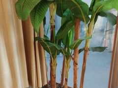 -筋骨堂热敷推拿按摩(枫林绿洲店)