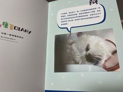 -美联众合动物医院·24h转诊中心