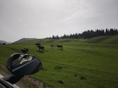 -新疆那拉提国家旅游度假区