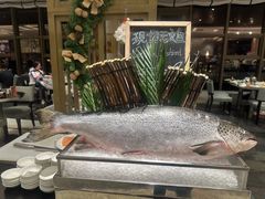 -索菲特酒店 · 云尚天际自助餐厅
