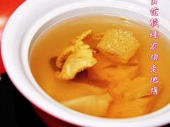 藏区羊肚菌花胶炖农场走地鸡-觅唐MITONG(鸟巢店)