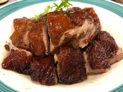 椿记烧鹅-椿记烧鹅(叠彩店)