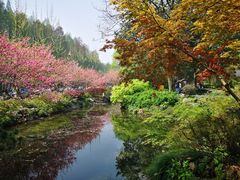 -西湖外事游船(花港观鱼码头)